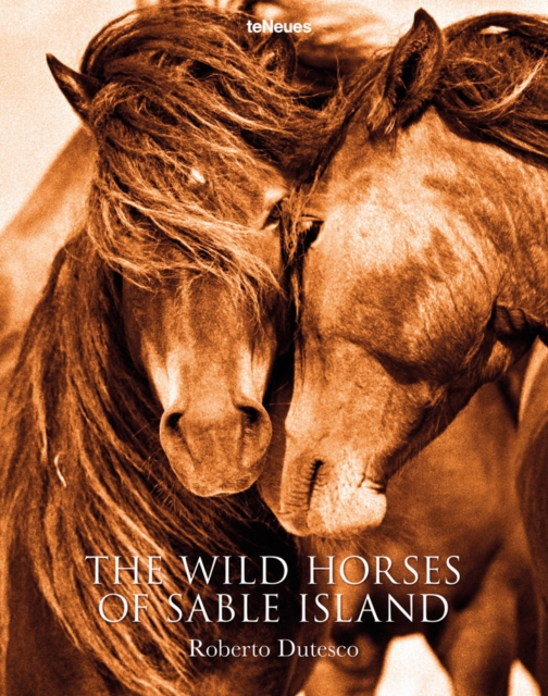 The Wild Horses of Sable Island, Hardback Book