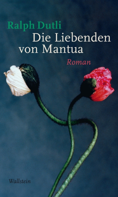 Die Liebenden von Mantua : Roman, PDF eBook