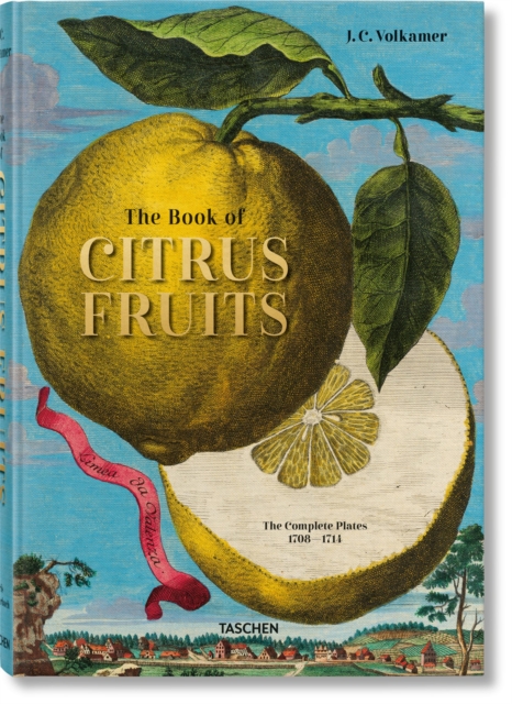 J. C. Volkamer. Citrus Fruits, Hardback Book