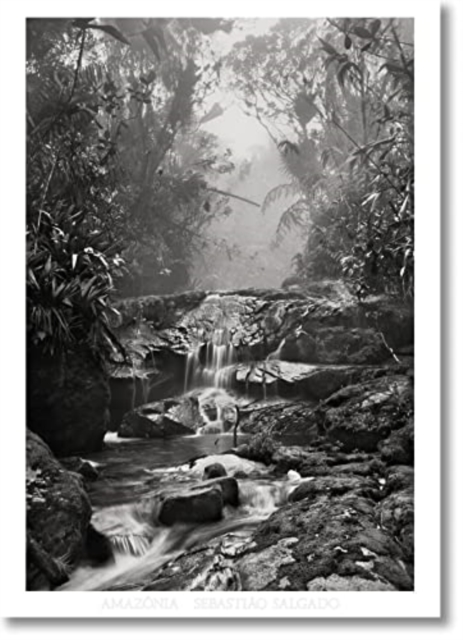 Sebastiao Salgado. Amazonia. Poster 'Creek', Postcard book or pack Book