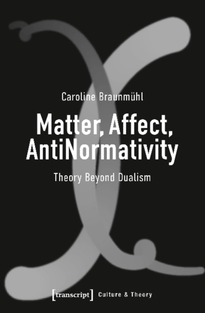 Matter, Affect, AntiNormativity : Theory Beyond Dualism, Paperback / softback Book