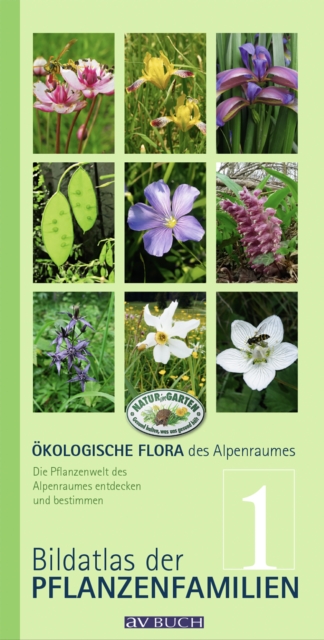 Okologische Flora des Alpenraumes, Band 1 : Bildatlas der Pflanzenfamilien. Die Pflanzenwelt des Alpenraumes entdecken und bestimmen, EPUB eBook