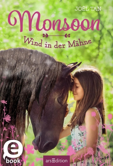 Monsoon - Wind in der Mahne (Monsoon 1), EPUB eBook