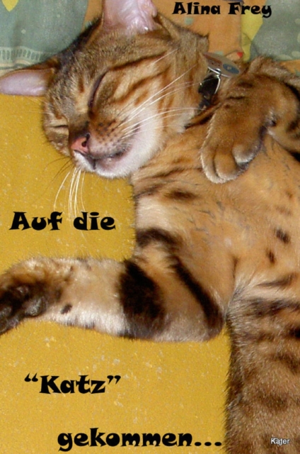 Auf die "Katz" gekommen... : Seelenverwandtschaft, EPUB eBook