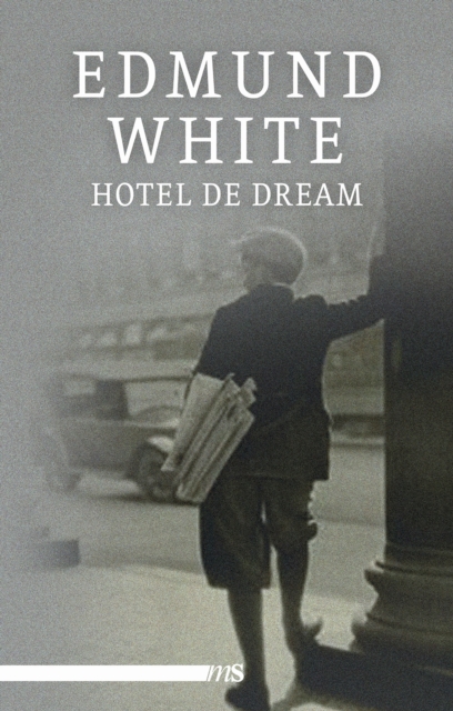Hotel de Dream : Ein New-York-Roman, EPUB eBook