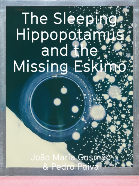 Joao Maria Gusmao & Pedro Paiva : The Sleeping Hippotalamus and the Missing Eskimo, Paperback / softback Book