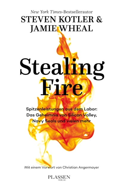 Stealing Fire : Spitzenleistungen aus dem Labor: Das Geheimnis von Silicon Valley, Navy Seals und vielen mehr, EPUB eBook