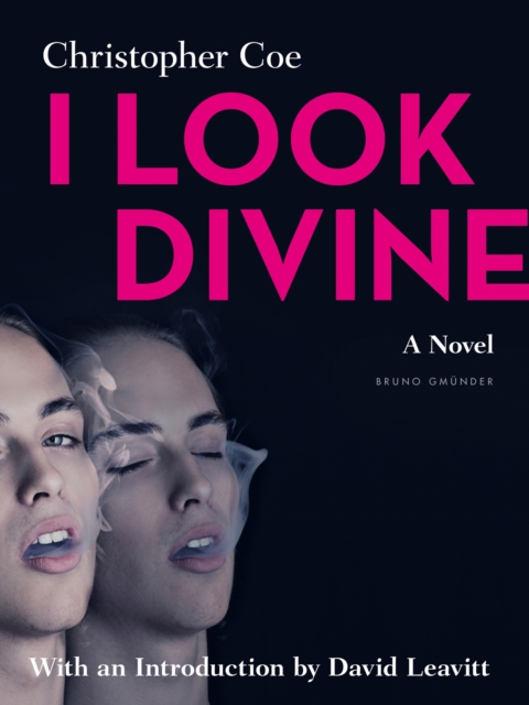 I Look Divine : With an Introduction by David Leavitt, EPUB eBook