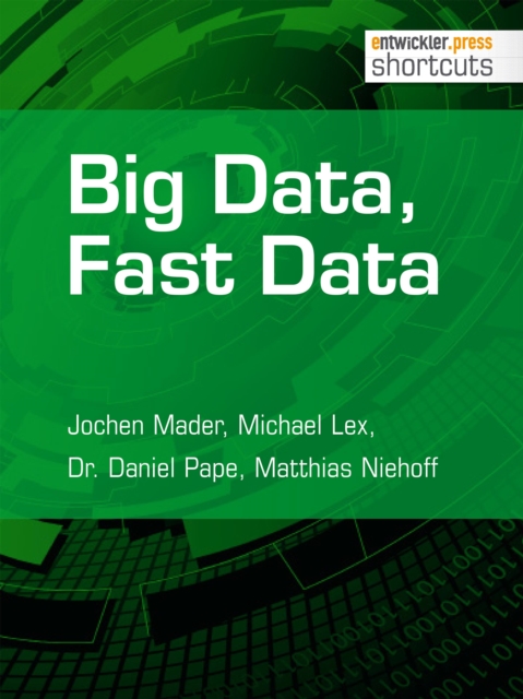 Big Data, Fast Data, EPUB eBook