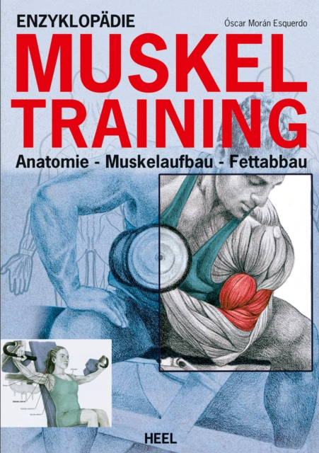 Enzyklopadie Muskeltraining : Anatomie - Muskelaufbau - Fettabbau, EPUB eBook