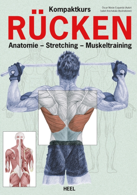 Kompaktkurs Rucken : Anatomie - Stretching - Muskeltraining, EPUB eBook