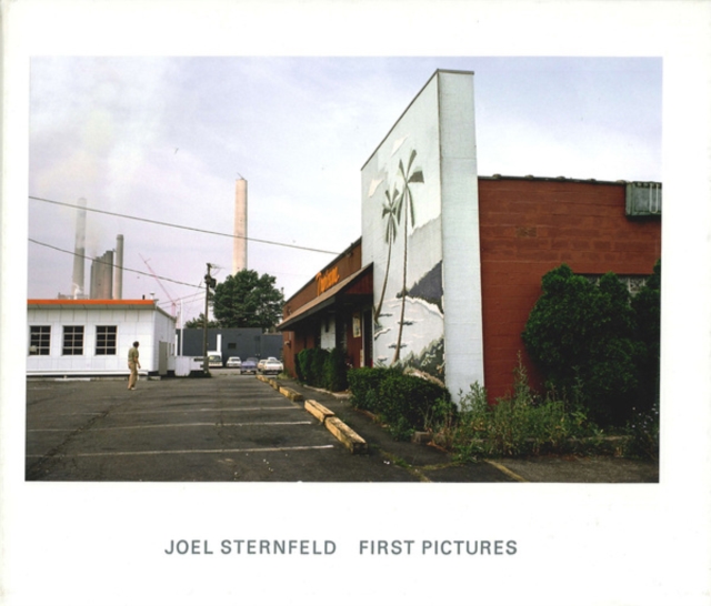 Joel Sternfeld : First Pictures, Hardback Book