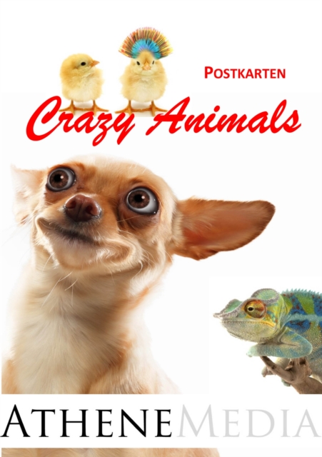 Postkarten : Crazy Animals, PDF eBook