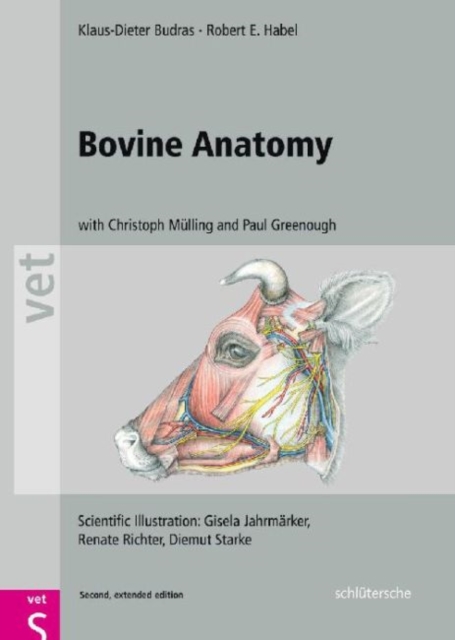 Bovine Anatomy : An Illustrated Text, Second  Edition, Hardback Book