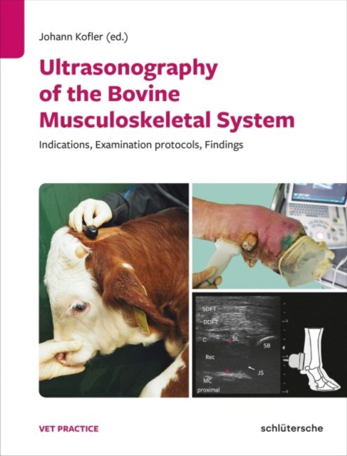 Ultrasonography of the Bovine Musculoskeletal System : Indications, Examination Protocols, Findings, Hardback Book