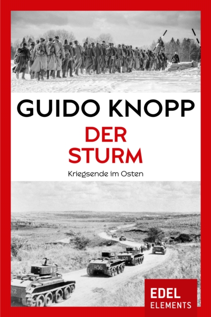 Der Sturm : Kriegsende im Osten, EPUB eBook