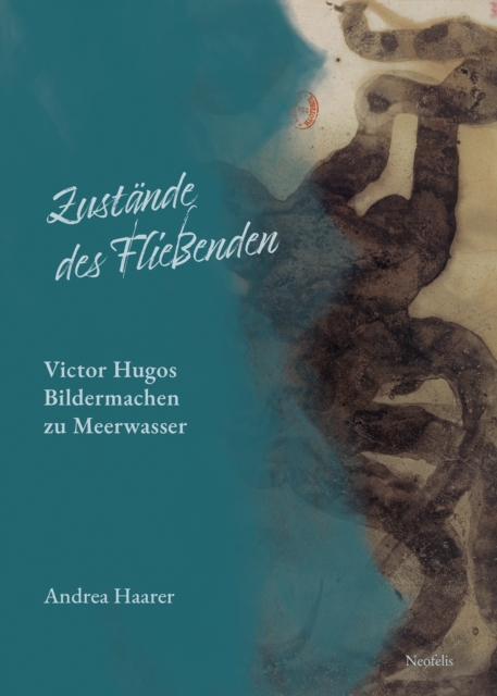 Zustande des Flieenden : Victor Hugos Bildermachen zu Meerwasser, PDF eBook