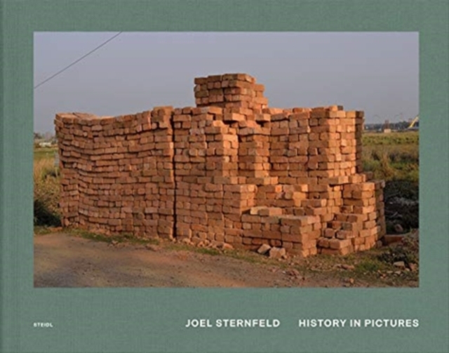 Joel Sternfeld: History in Pictures, Hardback Book