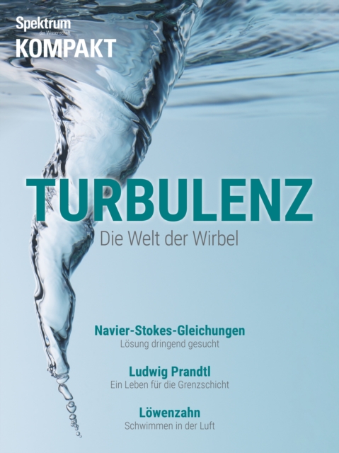 Spektrum Kompakt - Turbulenzen : Die Welt der Wirbel, PDF eBook