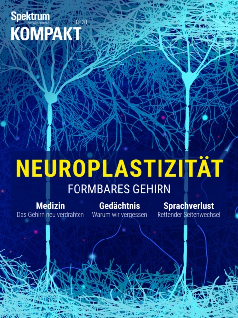 Spektrum Kompakt - Neuroplastizitat : Formbares Gehirn, PDF eBook