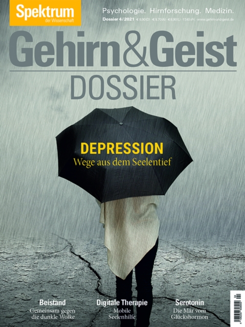 Gehirn&Geist Dossier - Depression : Wege aus dem Seelentief, PDF eBook