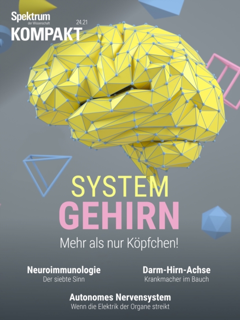 Spektrum Kompakt - System Gehirn : Mehr als nur Kopfchen, PDF eBook
