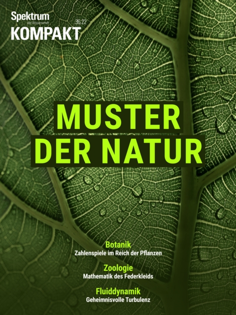 Spektrum Kompakt - Muster der Natur, PDF eBook