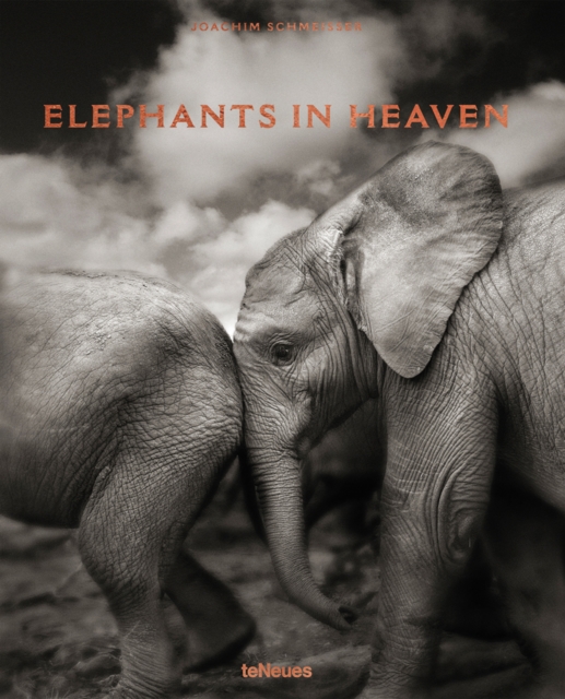 Elephants in Heaven, Hardback Book