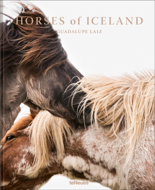 Horses of Iceland, Hardback Book