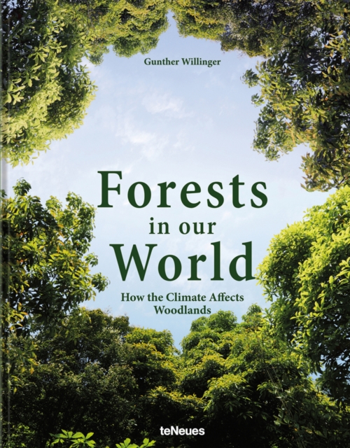 Forests in our World : How the Climate Affects Woodlands, Hardback Book