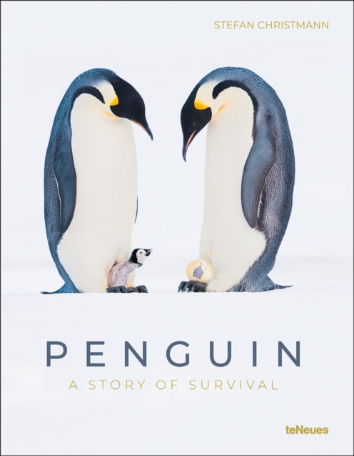 Penguin : A Story of Survival, Hardback Book
