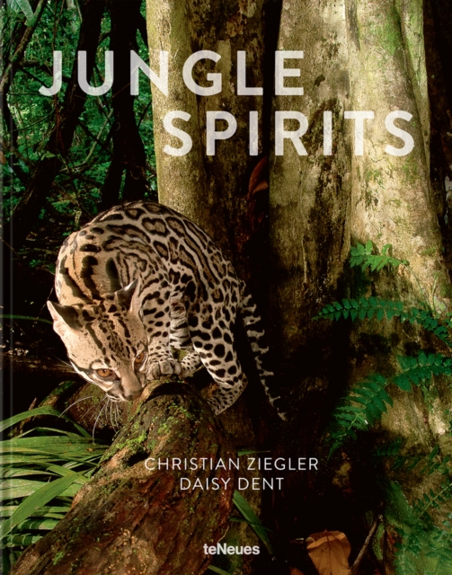 Jungle Spirits, Hardback Book