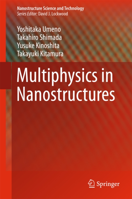 Multiphysics in Nanostructures, EPUB eBook