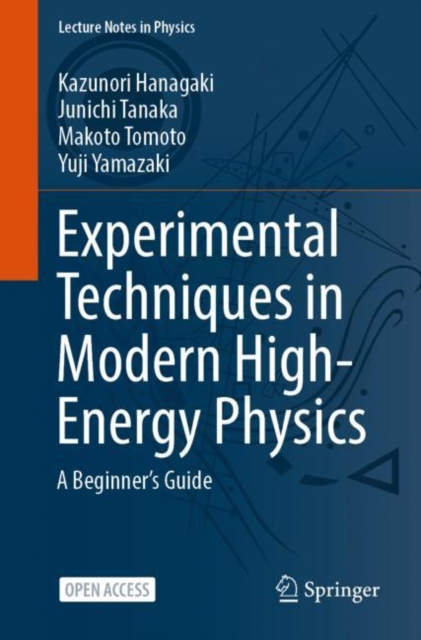 Experimental Techniques in Modern High-Energy Physics : A Beginner‘s Guide, Paperback / softback Book