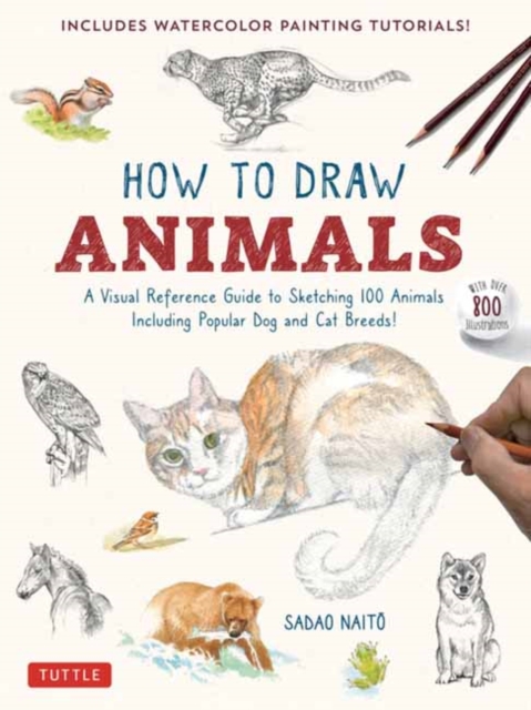 How to Draw Animals : A Visual Reference Guide to Sketching 100 Animals Including Popular Dog and Cat Breeds! (With over 800 illustrations), Paperback / softback Book