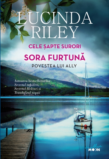 Sora furtuna. Povestea lui Ally, EPUB eBook