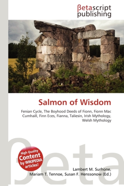Salmon of Wisdom, Paperback / softback Book