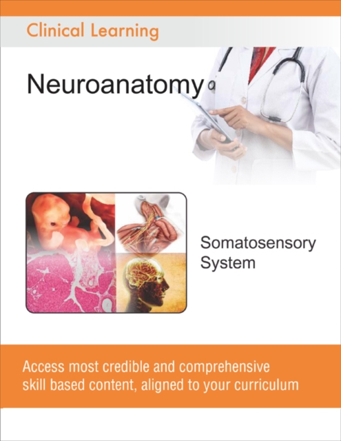 Somatosensory System, EPUB eBook