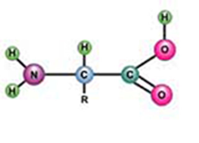 Tests for R group of Proteins and Determination of their Isoelectric pH, EPUB eBook