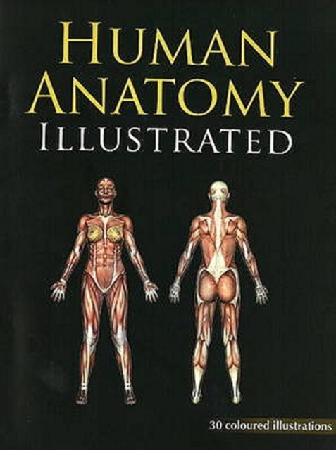 Human Anatomy Illustrated, Paperback / softback Book