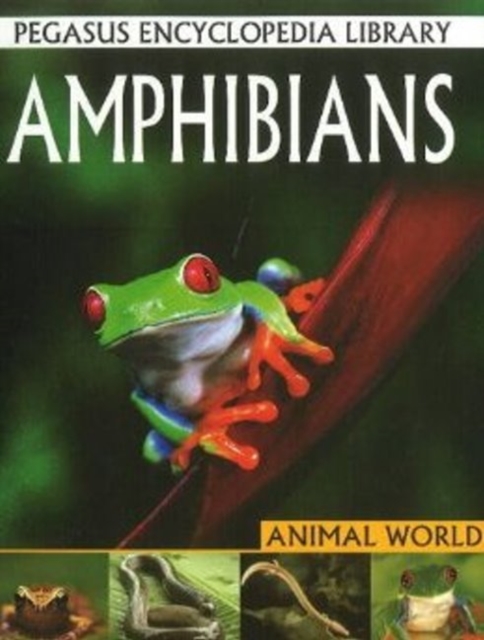 Amphibians : Pegasus Encyclopedia Library, Hardback Book