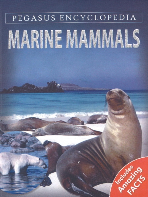 Marine Mammals, Hardback Book