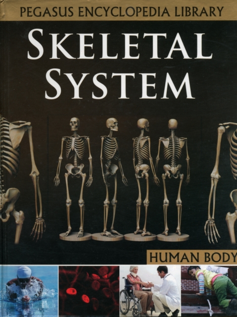 Skeletal System, Hardback Book