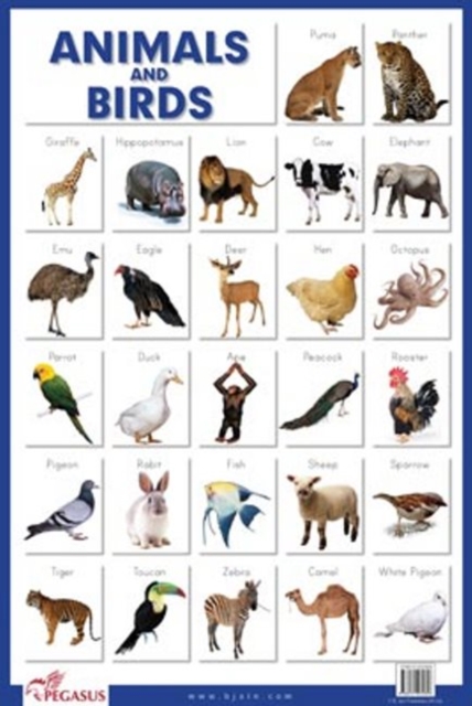 Animals & Birds, Poster Book