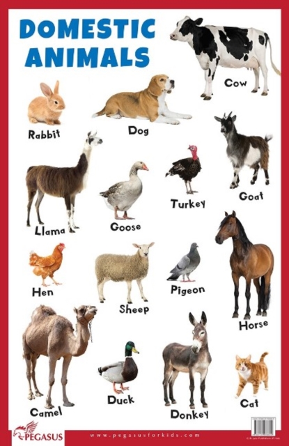 Domestic Animals Educational Chart, Poster Book