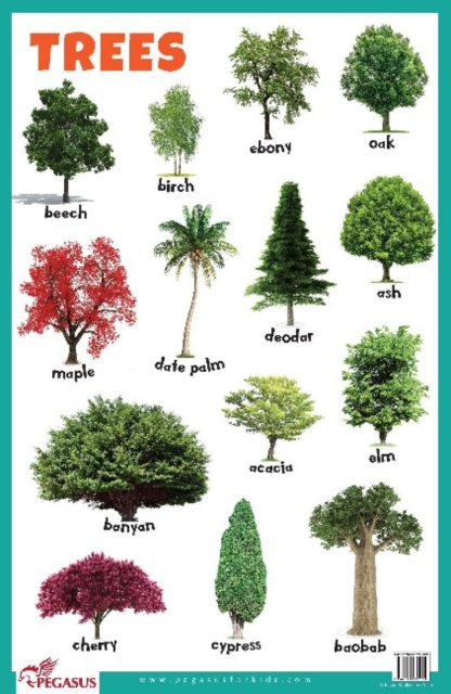 Trees Educational Chart, Poster Book