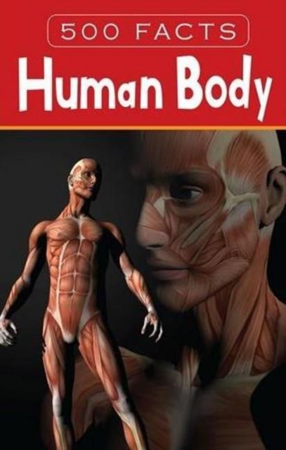 Human Body - 500 Facts, Hardback Book