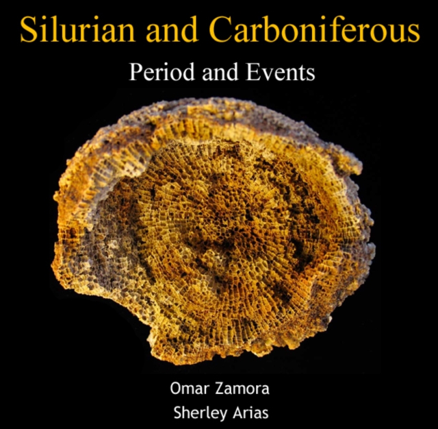 Silurian and Carboniferous : Period and Events, PDF eBook