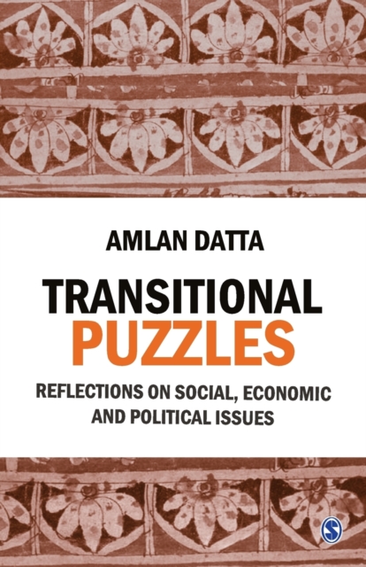 Transitional Puzzles : Reflections on Social, Economic and Political Issues, Paperback / softback Book