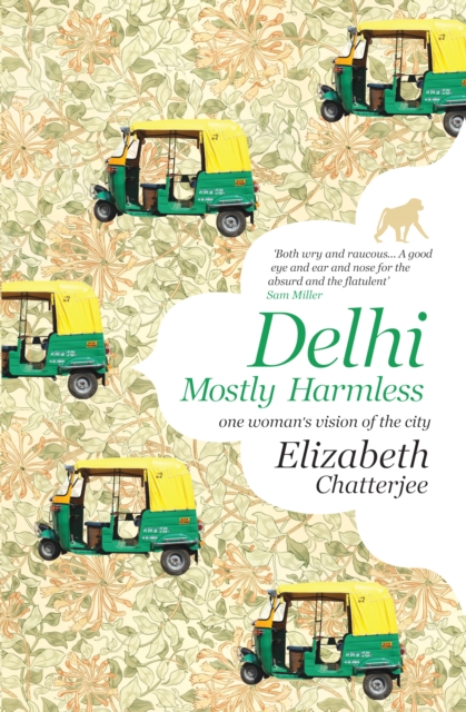 Delhi : Mostly Harmless-One woman's vision of the city, EPUB eBook